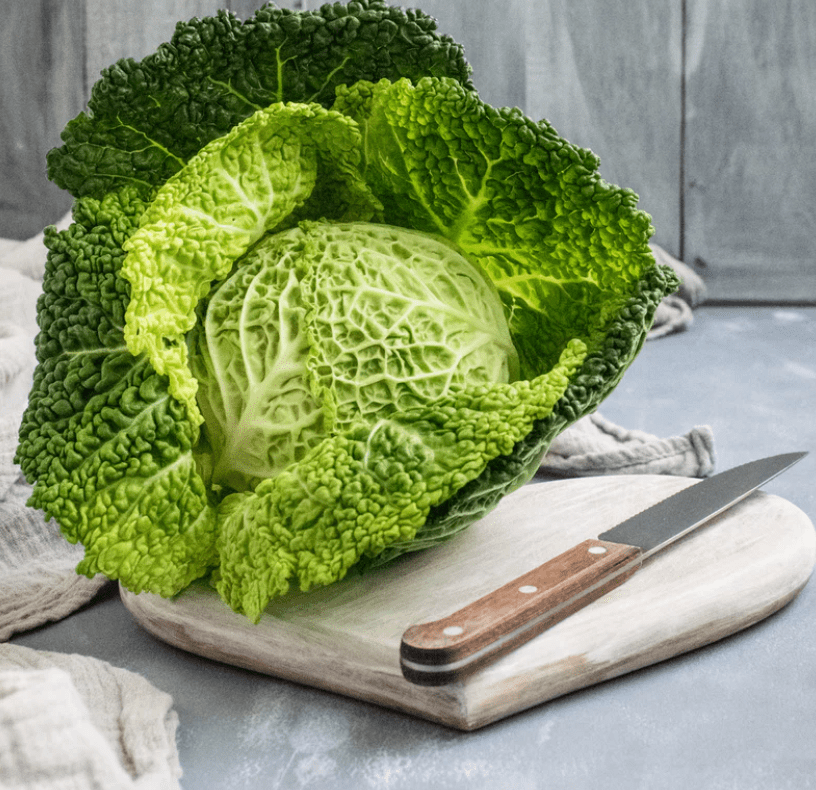 cabbage-to-fight-covid-19
